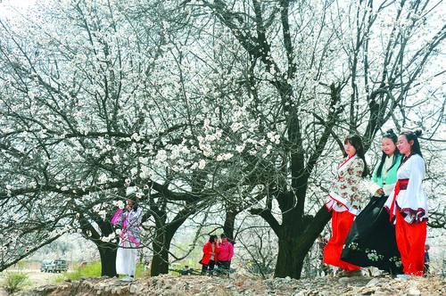 小九直播乐悠足球 观赛界面